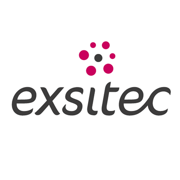 exsitec-logo1